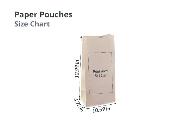 Large Paper Pouch