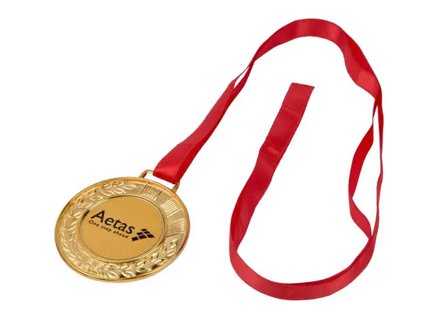 Pillage Medal