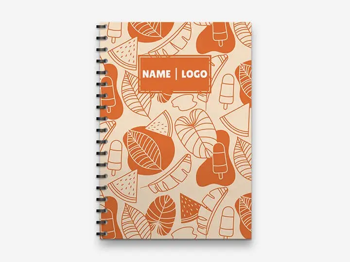 Personalized Illustration Orange Fruit Ice  Diary
