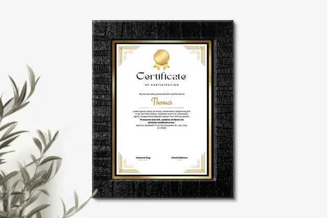 A4 Stripes Black Framed Certificates