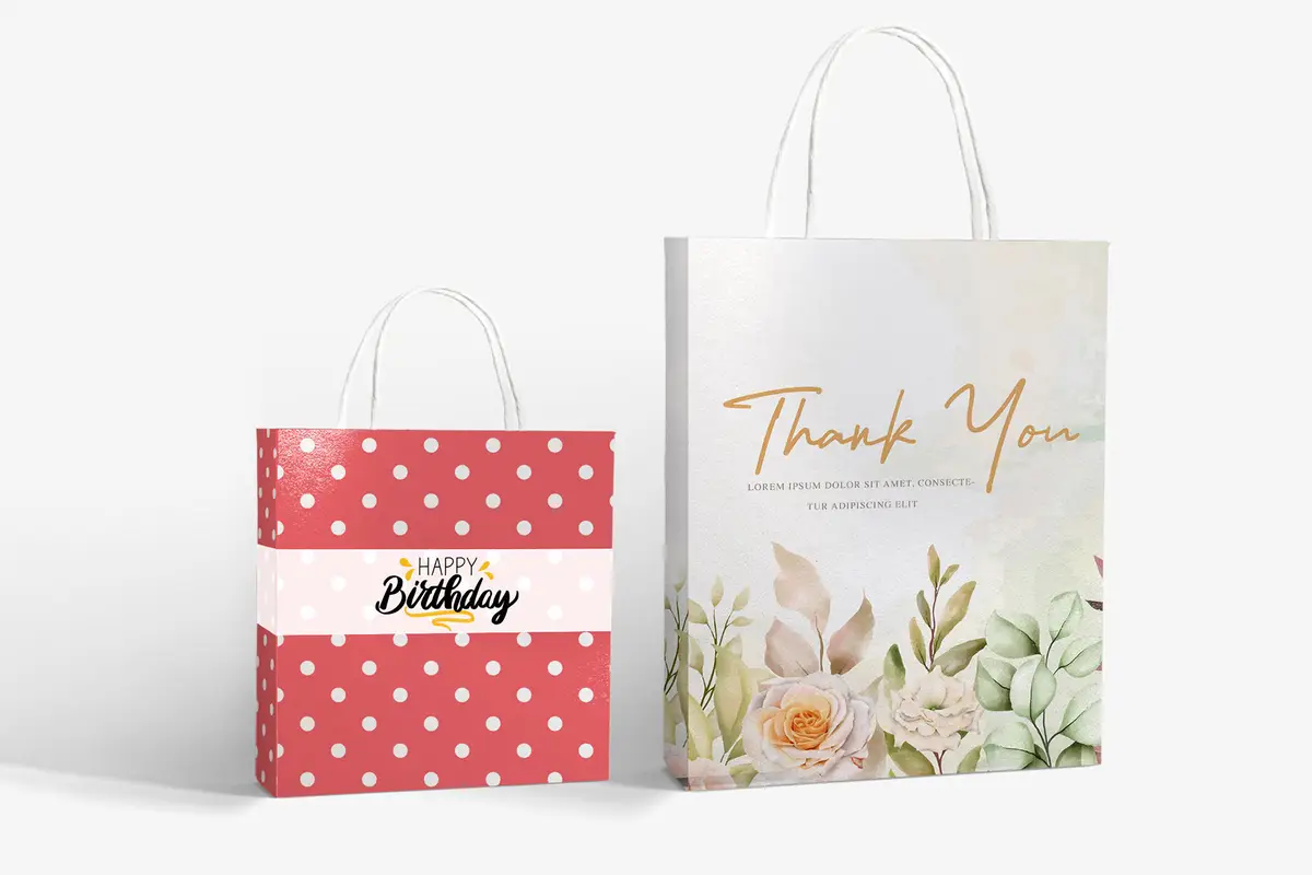 Gift Colour Paper Bags - Shop For Decorative Paper Bags Online - Printo.in