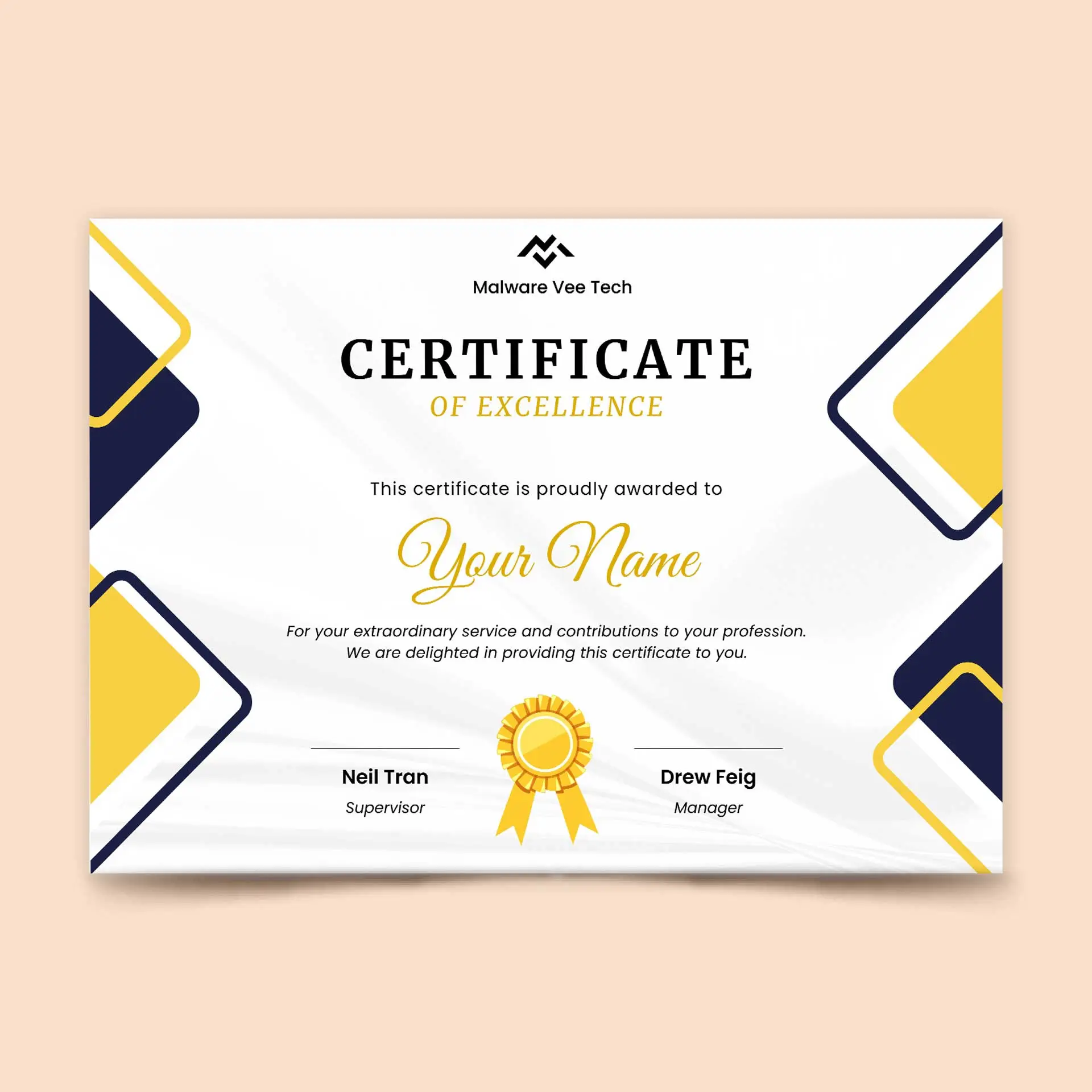 Express Delivery Custom Printed Certificated